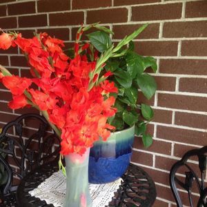 Meet your Posher, Camerina