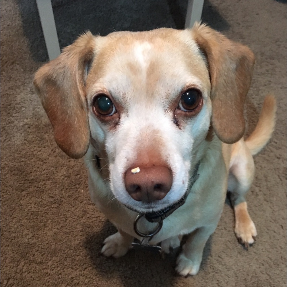 Meet your Posher, Katie