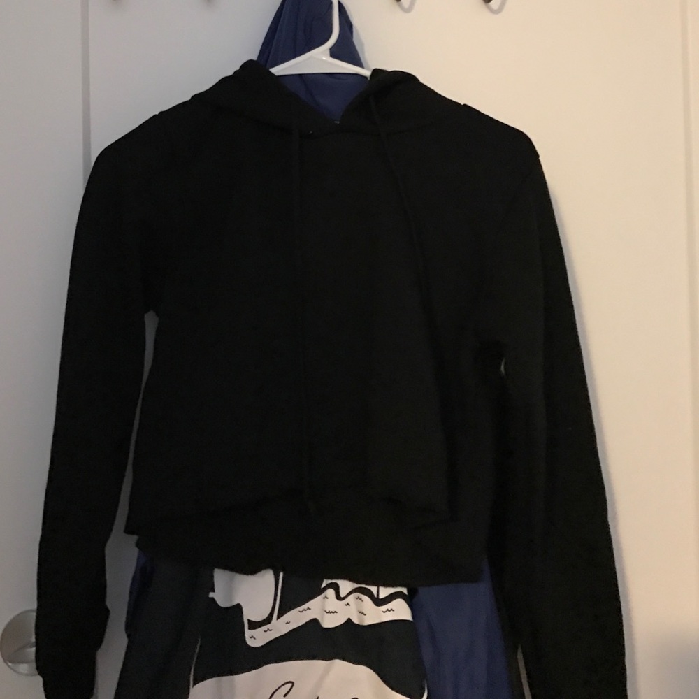 Brandy Melville Cropped Hoodie