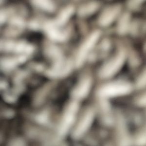 Meet your Posher, Will