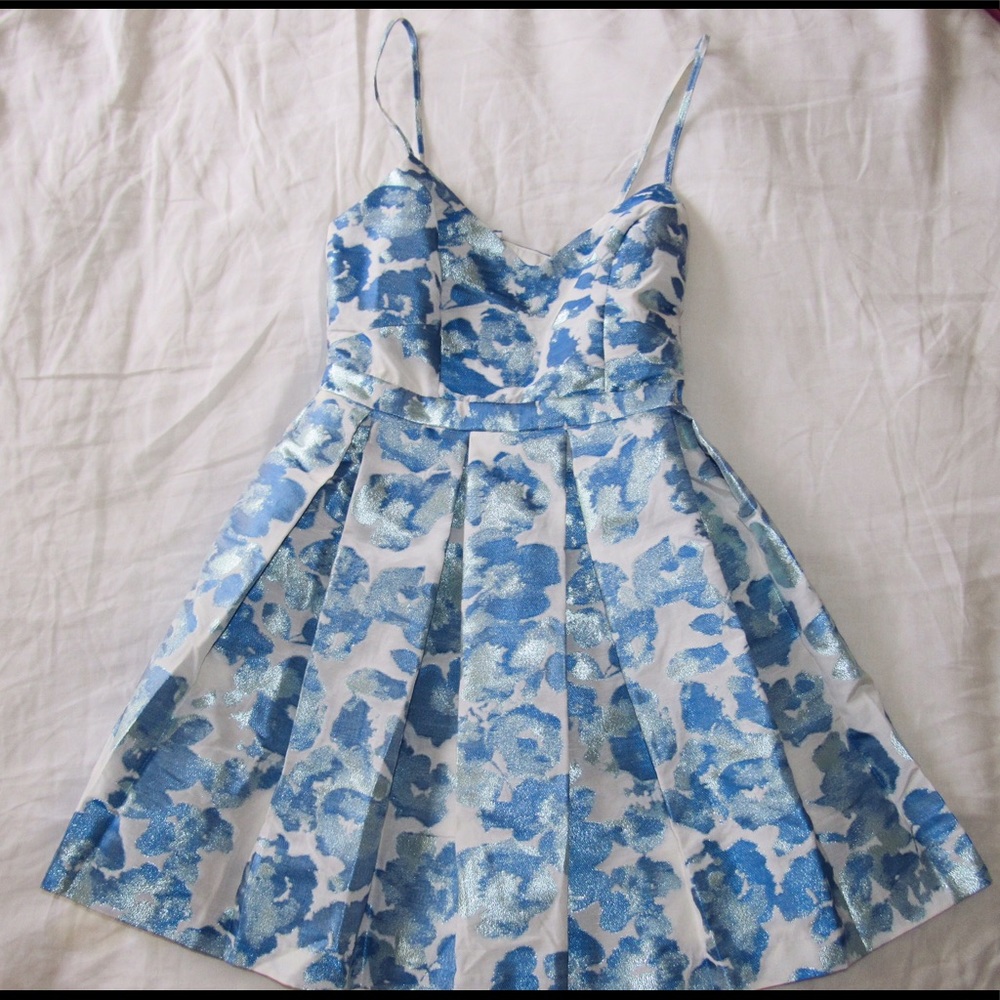 Kimichi Blue Dress in Blue and White