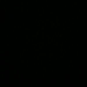 Meet your Posher, Luis