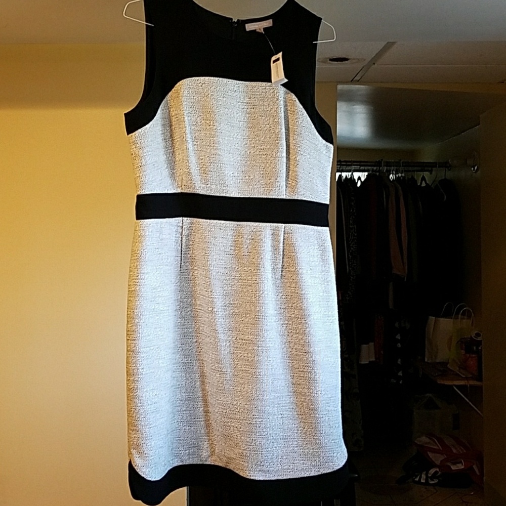 Black and cream dress