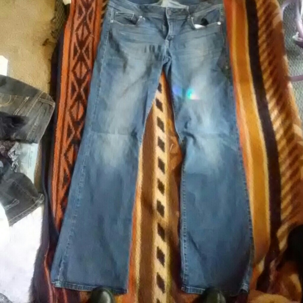 American Eagle Bootcut Jeans 12 Long
