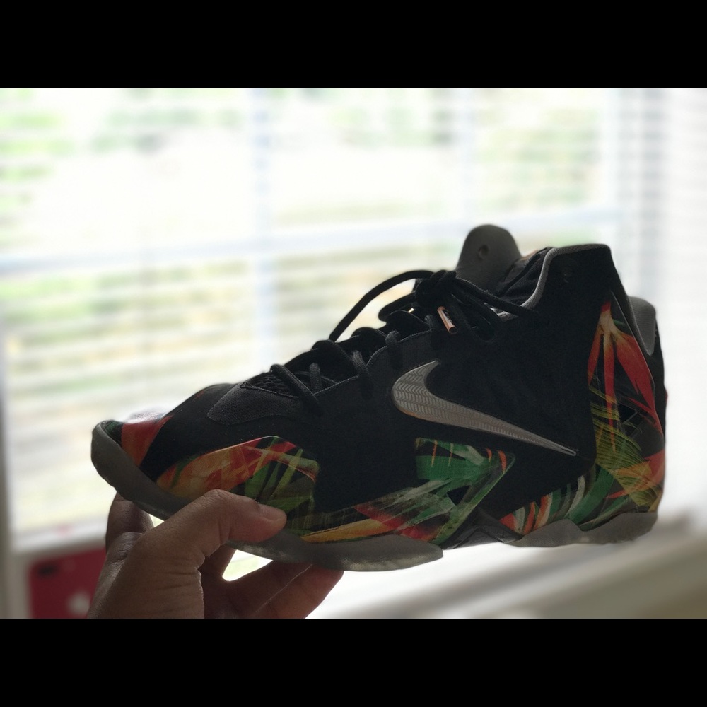 Lebron 11 Everglades