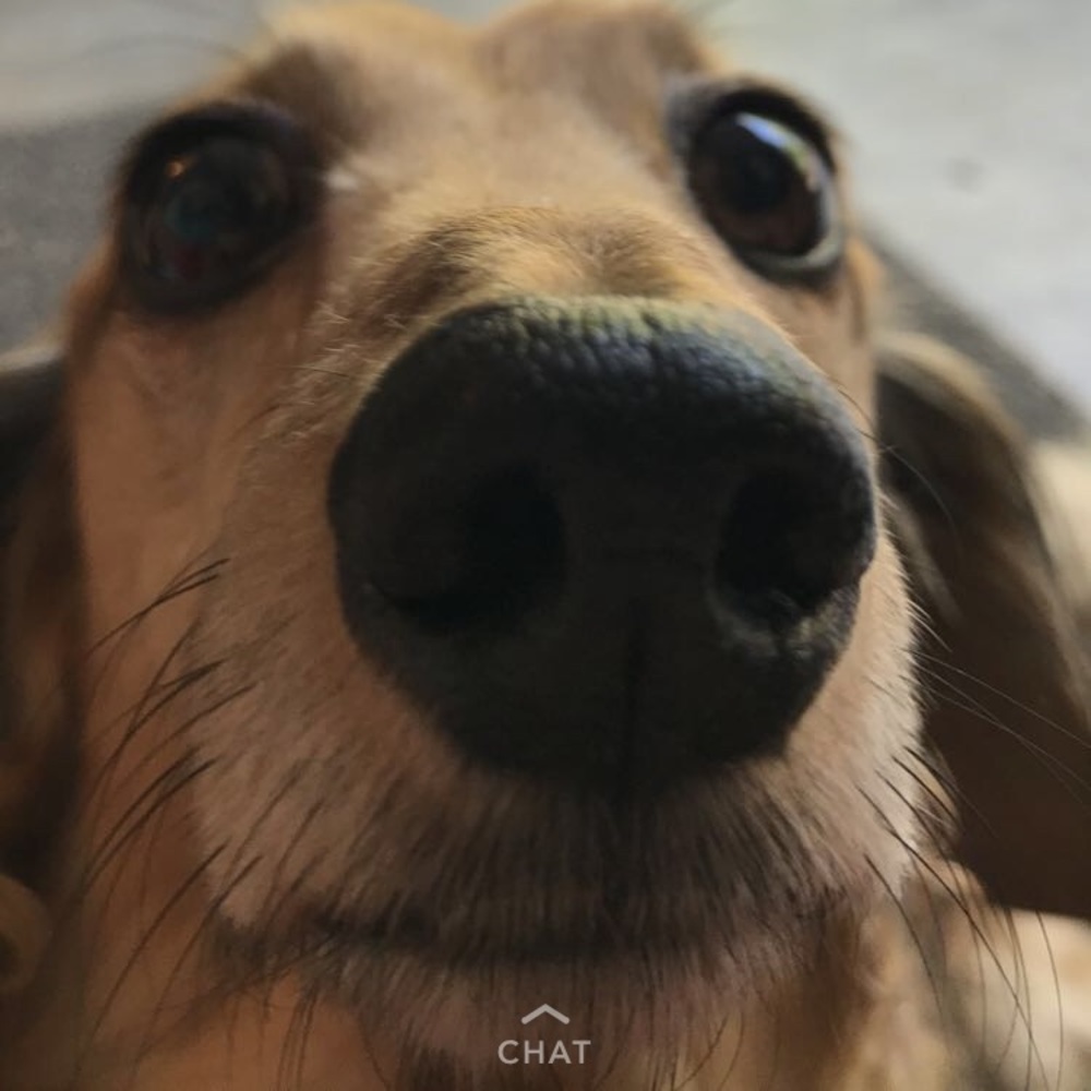 ___