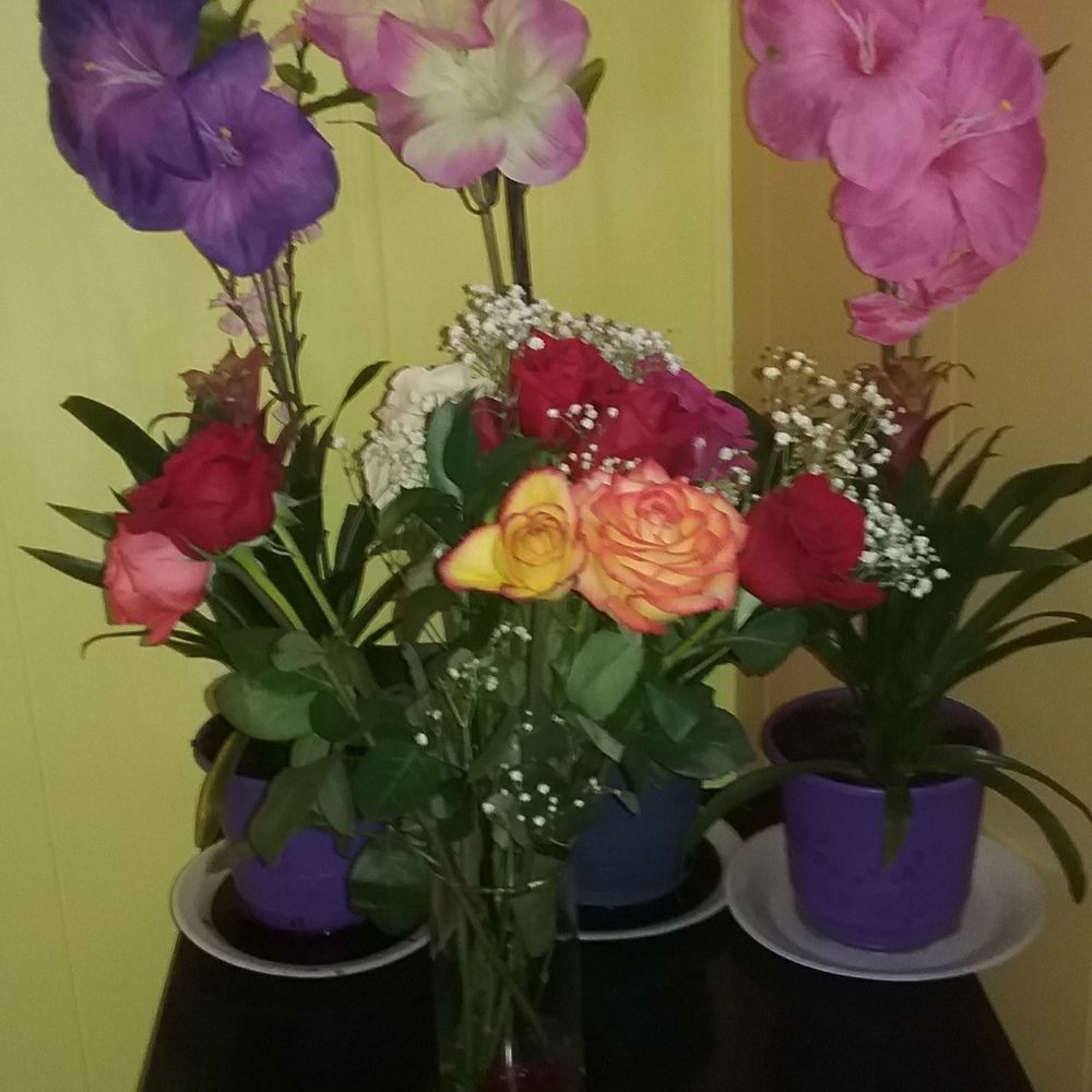 Meet your Posher, Gaby