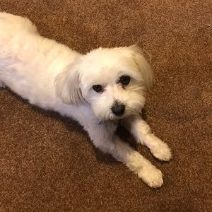 Meet your Posher, Valerie