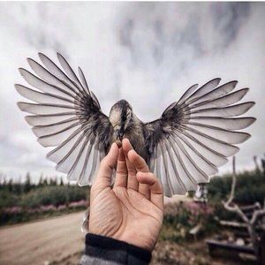 Meet your Posher, Zhanyl