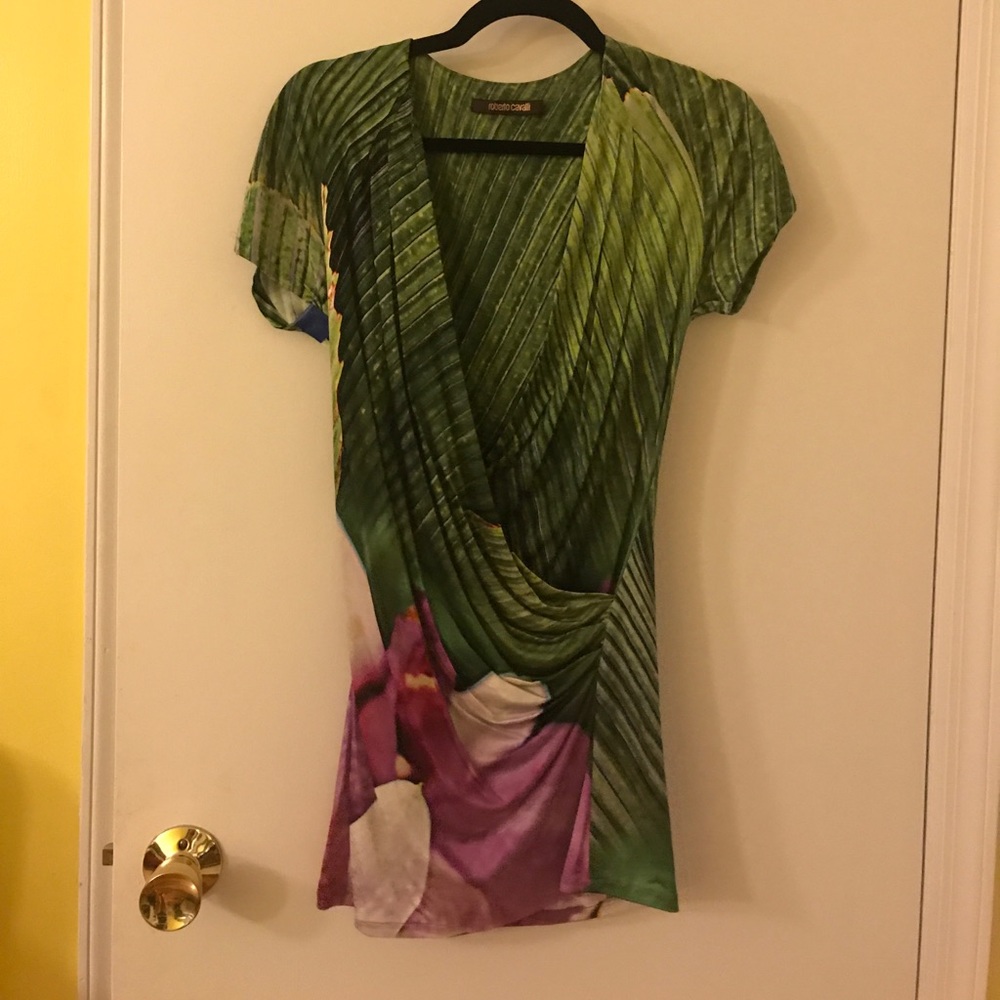 Roberto cavalli dress