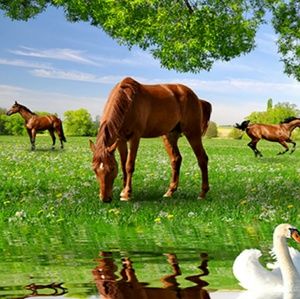 Meet your Posher, Marla