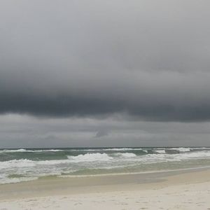 Meet your Posher, Martha