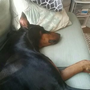 Meet your Posher, Kristine