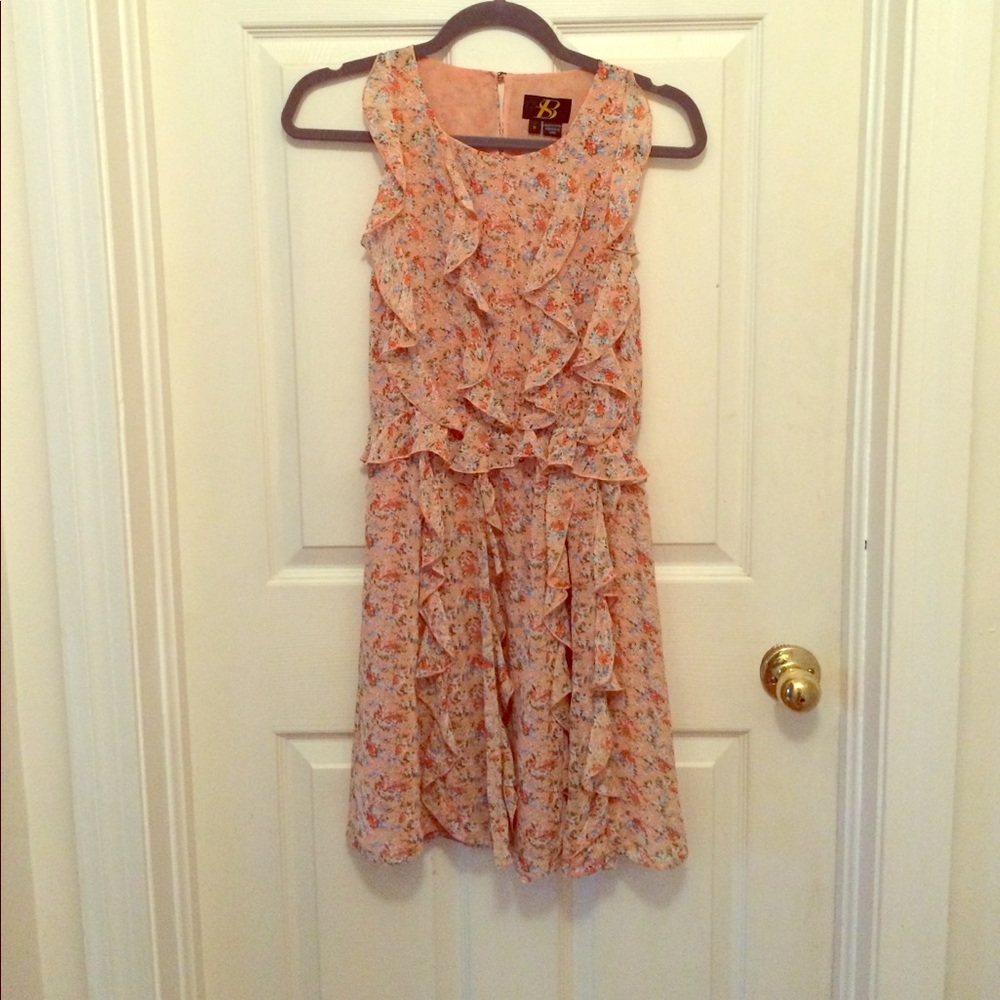 Anthropologie Senna dress Sachin & Babi 0