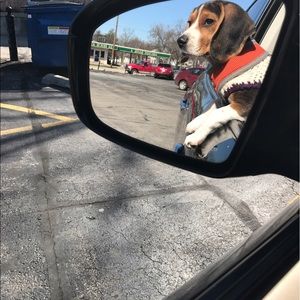 Meet your Posher, Noelia