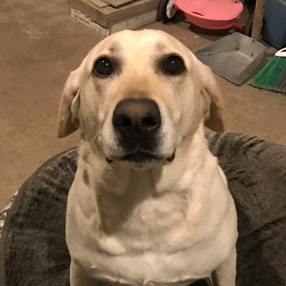 Meet your Posher, Cyndi