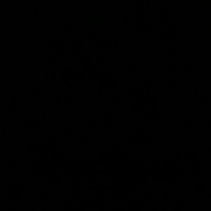 Meet your Posher, Winter