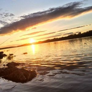 Meet your Posher, Cody