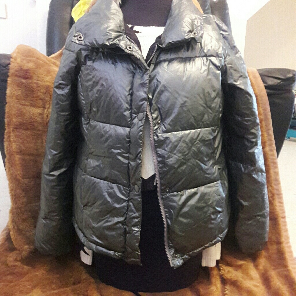 Winter Jacket