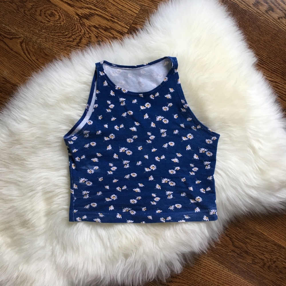 American apparel blue crop top