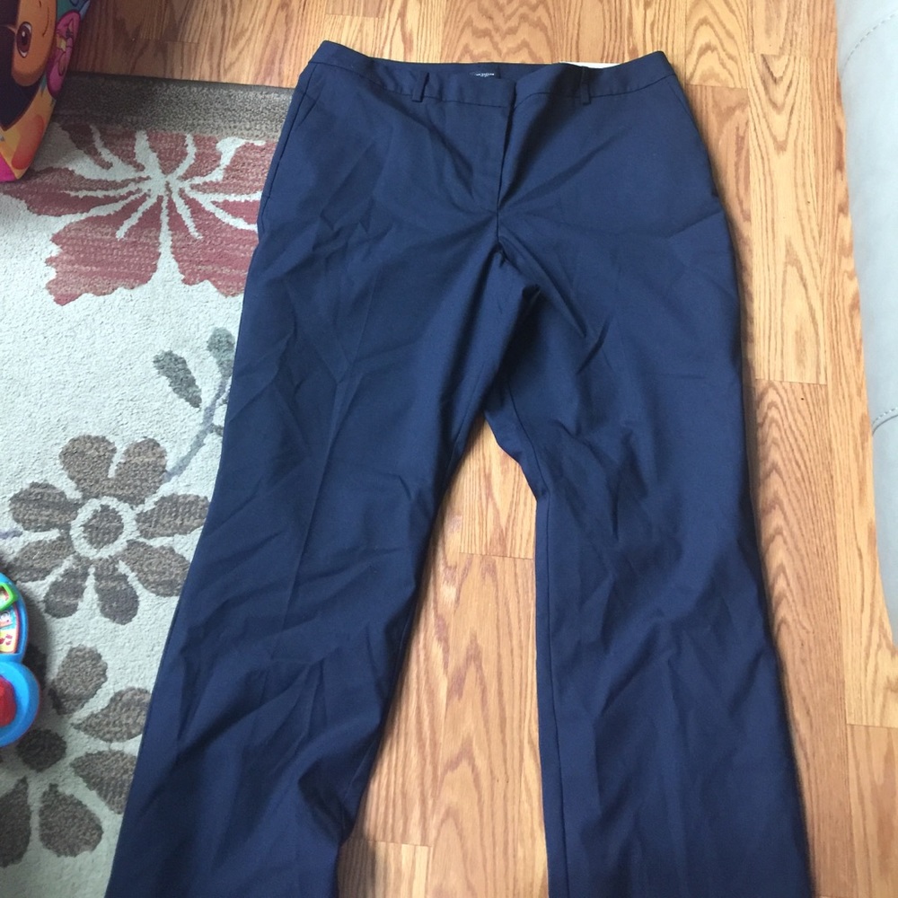 Ann Taylor Curvy