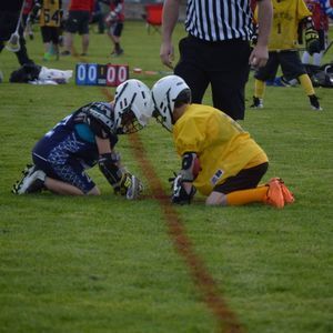 Meet your Posher, Robin