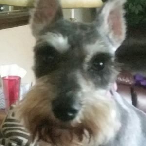 Meet your Posher, Nancy