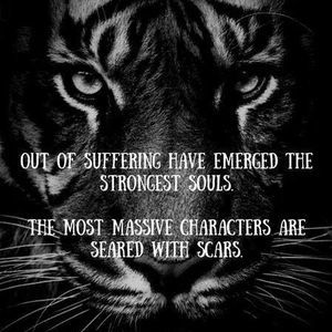 Meet your Posher, Roger