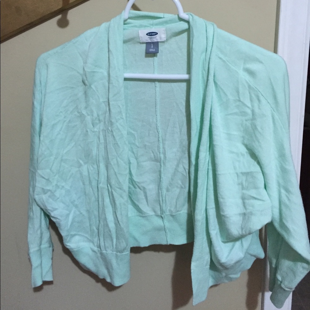 Mint cropped sweater