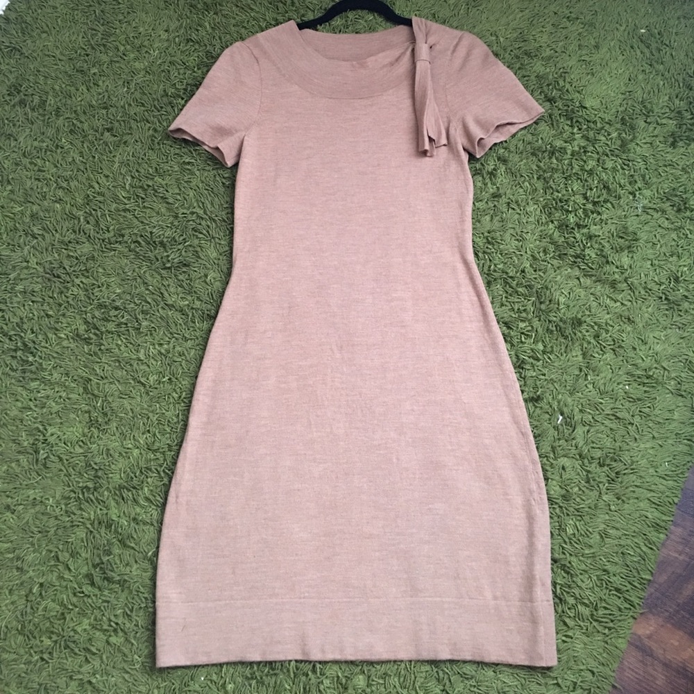 Banana Republic Dress • Extra fine Merino •