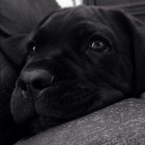 Meet your Posher, Eric