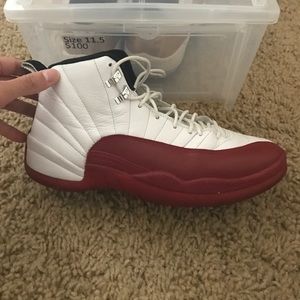 2009 Air Jordan Cherry 12