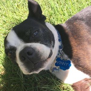 Meet your Posher, Vanessa