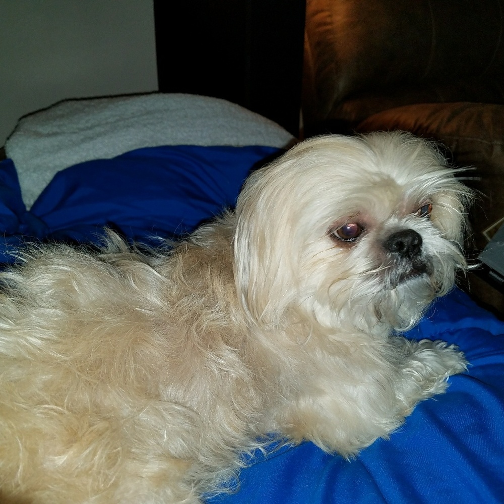 Meet your Posher, Becky