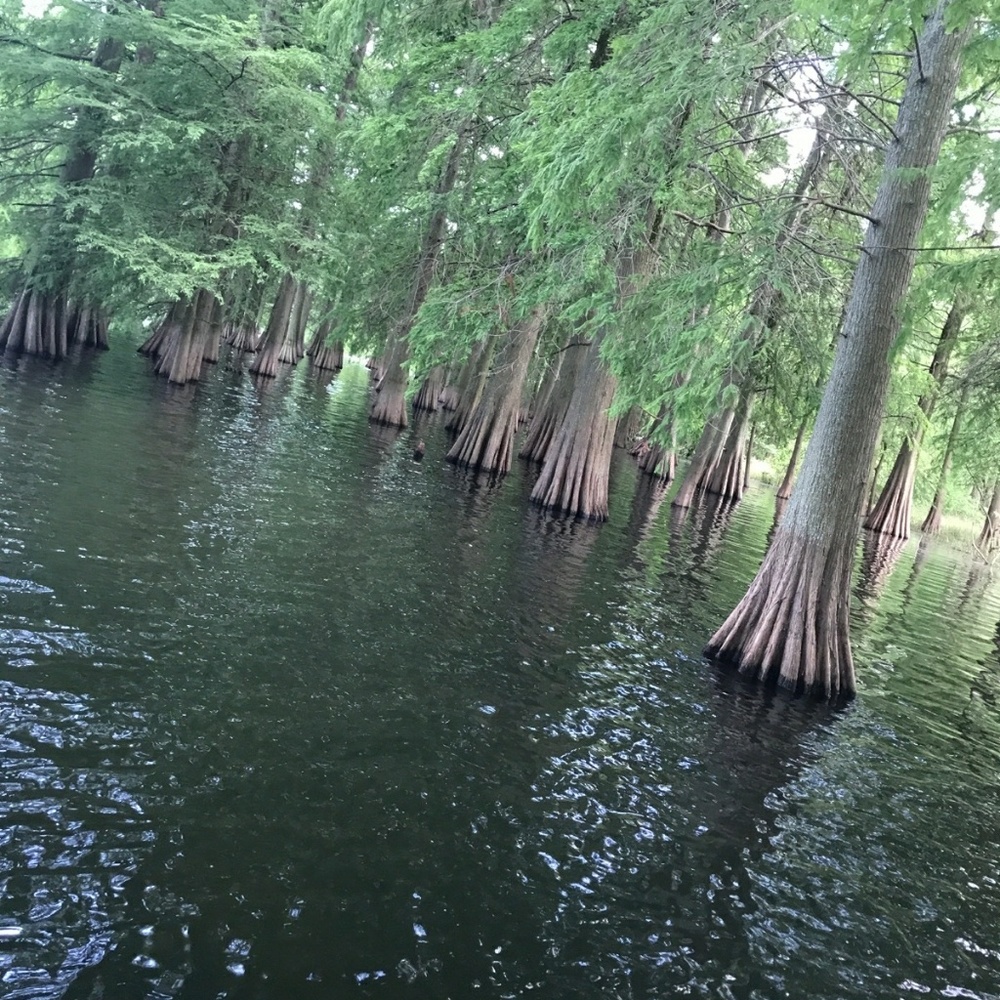 Meet your Posher, Shalanda