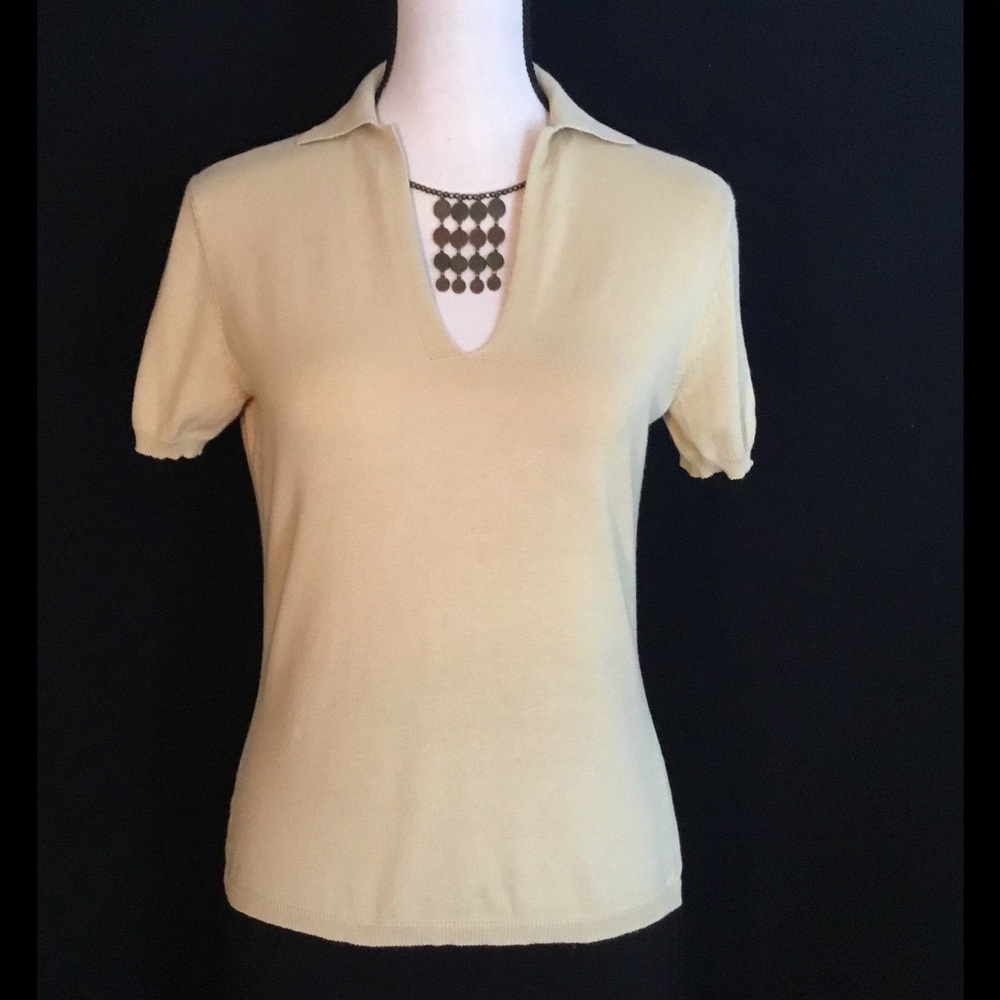 "Max Studio" V-Neck Knit Top
