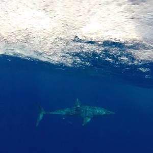 Meet your Posher, Ethan