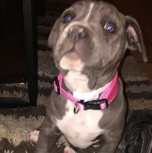 Meet your Posher, Jeannie