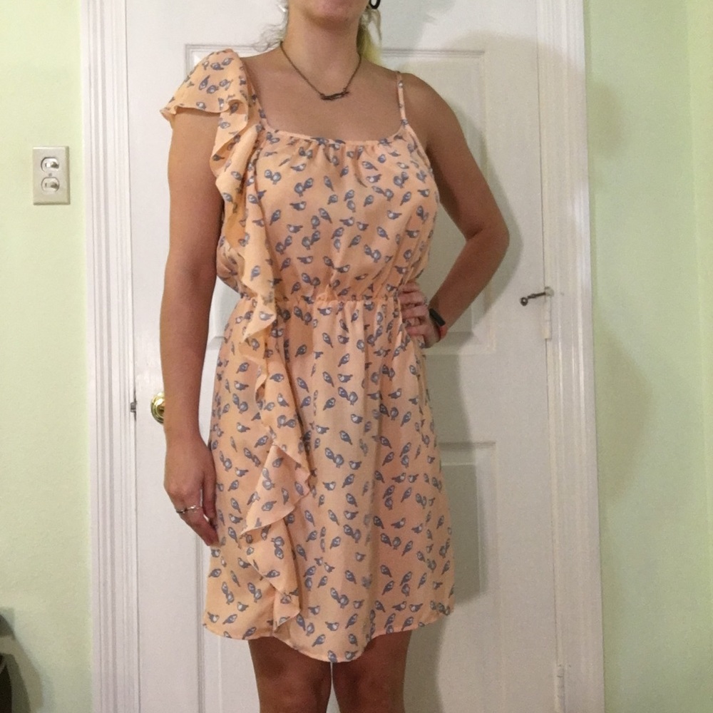 Super Cute Bluebird Summer Dress