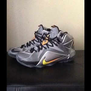Lebron 12 flights