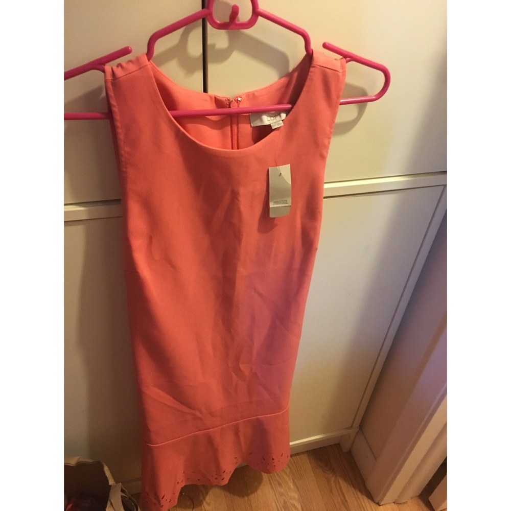 loft brand new dress