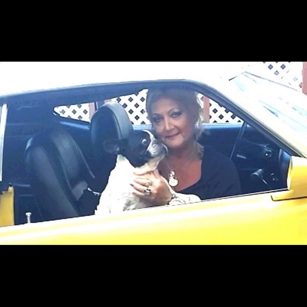 Meet your Posher, Randy - Picture 6 of 8