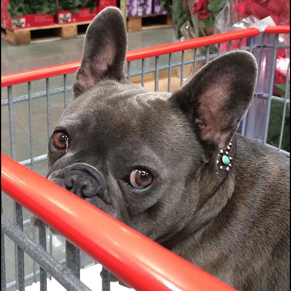 Meet your Posher, Randy - Picture 7 of 8