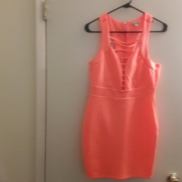 Clothes - Picture 3 of 4