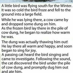 Meet your Posher, Daniel