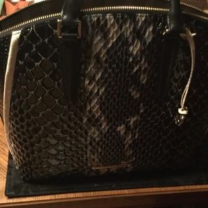 Large Duxbury Black Carlisle