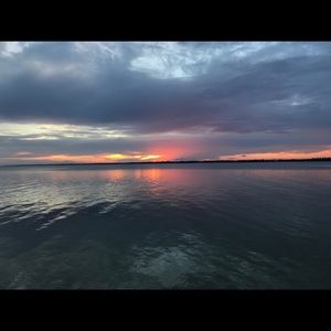 Meet your Posher, Bailey