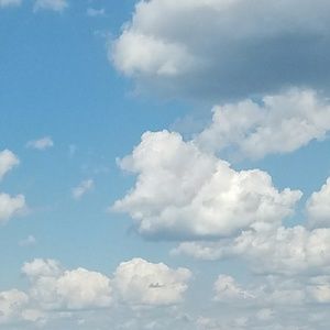 Meet your Posher, Deedee