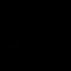 Meet your Posher, Bray