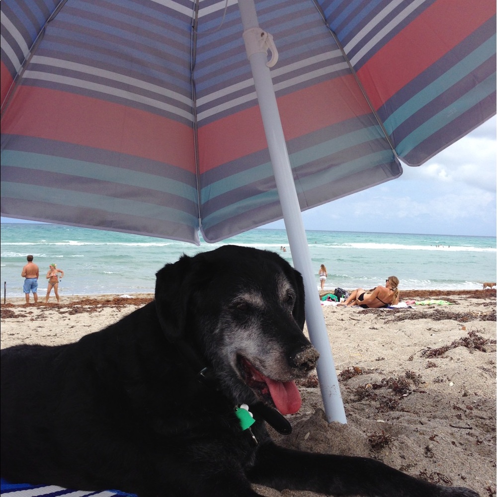 Meet your Posher, Alicia